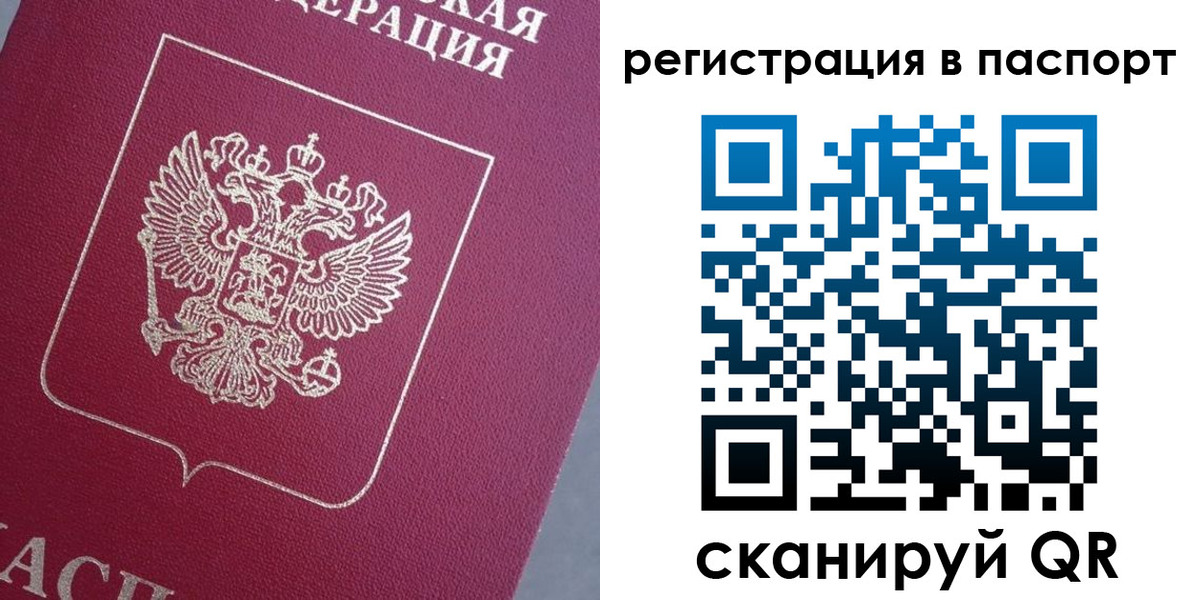 прописка 2025 в Сольцах